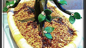 Dort Bonsai