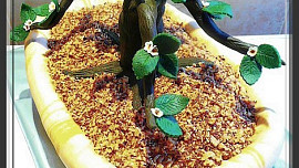 Dort Bonsai