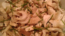 Houby zapečené v bylinkovém jogurtu