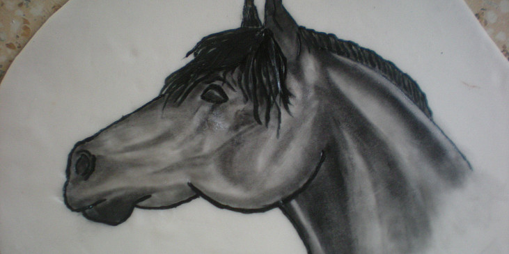 Koník pro třicátníci (namalovaný obrázek před oříznutím)