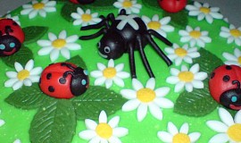 Kopretinový dort s beruškami a pavoukem