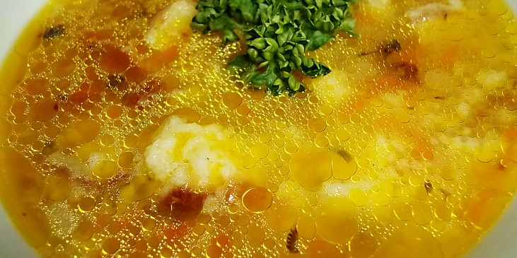 Kopřivačka-polévka pro zdraví (Dobrou chuť!)