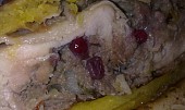 Krůtí prsíčka s brusinkovou náplní, piniovými jadérky a šalvějí  v křupavém zlatavém těstíčku