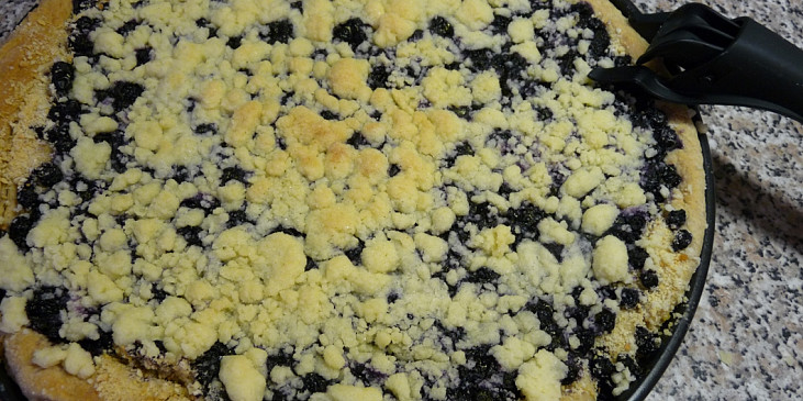 Kynutý borůvkový koláč od Tejajky - CRISP (uvlněno)
