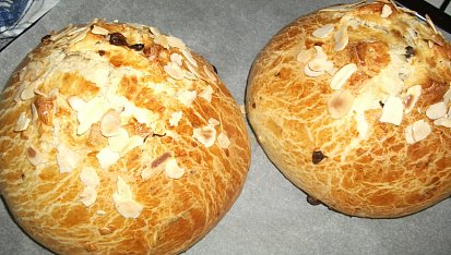 Mazanec, letošní mazance