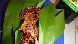 Pesto z medvědího česneku se sušenými rajčaty