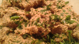 Mleté čočkovo-zeleninové, sójové řízečky