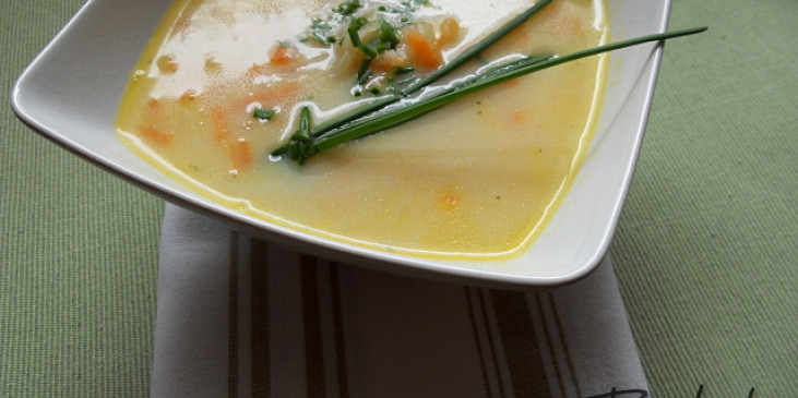 Mrkvová polévka s kedlubnou