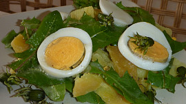 Pampeliškový bramborový salát
