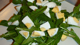 Pampeliškový salát