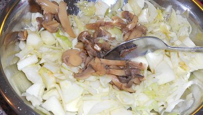 Salát z hlávkového zelí, žampionů, jablek a rybího filé