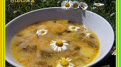 Sedmikrásková pohádka, Sedmikrásková pohádka