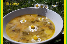 Sedmikrásková pohádka