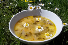 Sedmikrásková pohádka