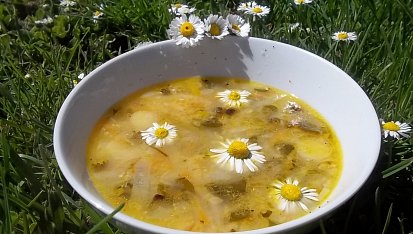 Sedmikrásková pohádka, Sedmikrásková pohádka