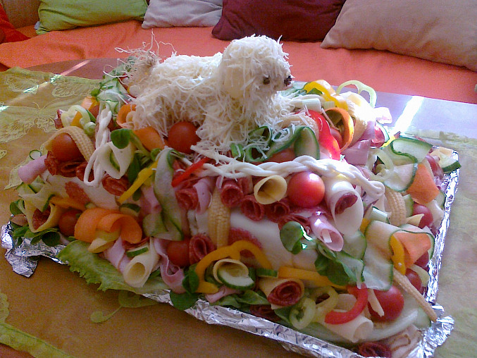 Slaný dort s boloňským psíkem