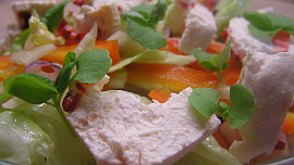 Zeleninový  salát s čerstvým sýrem Mexiko a bazalkou