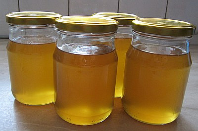 Bezinkový "med" (bezinkový med)