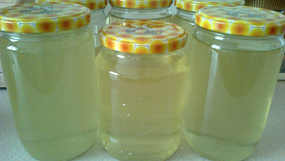 Bezinkový sirup