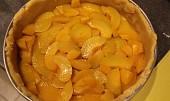 Broskvový nebo meruňkový koláč