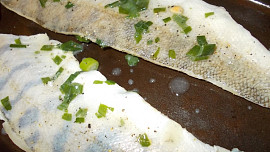 Candát zapečený s uzeným sýrem a uzeným lososem