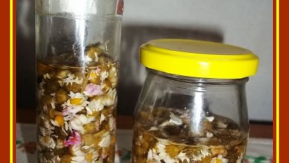 Kapary  zahradní, Kapary zahradní