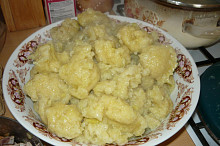 mísa chlupáčů