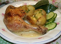 Kuře na bobkovém listě