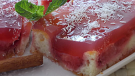 Chlazený moučník  s  ovocným rosolem