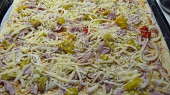 Pizza univerzální a nejlepší ze všech