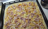 Pizza univerzální a nejlepší ze všech