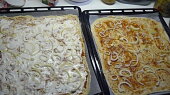 Pizza univerzální a nejlepší ze všech