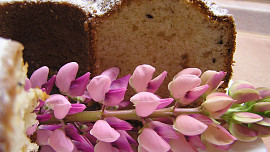 Angreštová bábovka