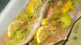 Siven pečený  v bylinkách a dušený na jablkách a zelenině