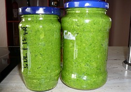 Česnekové pesto