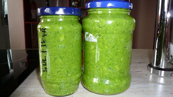 Česnekové pesto
