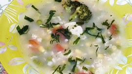 Jarní zeleninová polévka