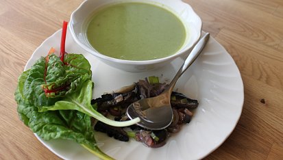 Krémová mangold suppe :-)