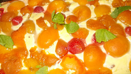 Jemný dezert s pudingovým tvarohem a meruňkami