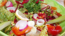 Zdravý  barevný  salát z několika druhů zeleniny