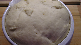 Borůvkové koláče "lopaťáky"