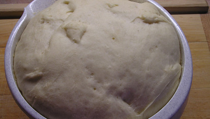 Borůvkové koláče "lopaťáky"