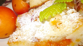 Koláč s meruňkami a rybízem