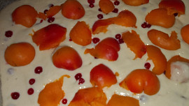 Koláč s meruňkami a rybízem