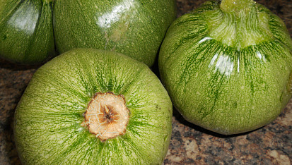 Ořechové pesto & kulaté cukety