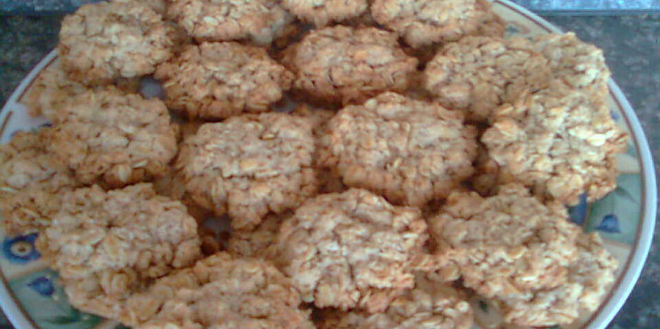 Ovesné sušenky s brusinkami (s kokosem)