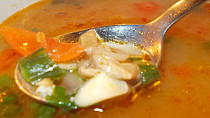 Polévka z hlívy ústřičné, chilli papriček a řapíkatého celeru
