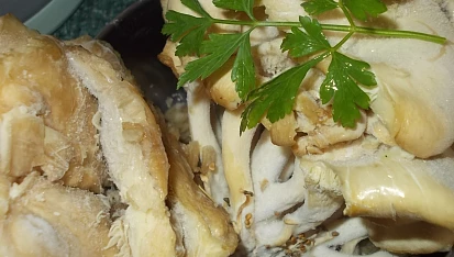 Polévka z hlívy ústřičné, chilli papriček a řapíkatého celeru