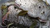 Rybí salát v koprové remuládě