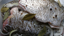 Rybí salát v koprové remuládě